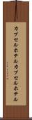 カプセルホテル Scroll