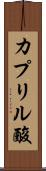 カプリル酸 Scroll