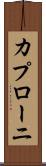 カプローニ Scroll