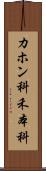 カホン科 Scroll