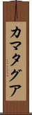 カマタグア Scroll