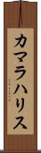 カマラハリス Scroll