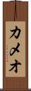 カメオ Scroll