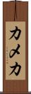 カメカ Scroll
