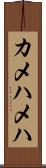 カメハメハ Scroll