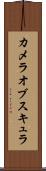 カメラオブスキュラ Scroll