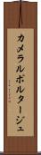 カメラルポルタージュ Scroll