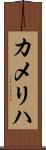 カメリハ Scroll