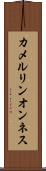 カメルリンオンネス Scroll