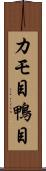 カモ目 Scroll