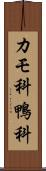 カモ科 Scroll