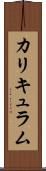 カリキュラム Scroll