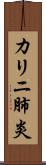 カリニ肺炎 Scroll