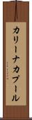 カリーナカプール Scroll