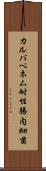 カルバペネム耐性腸内細菌 Scroll