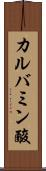 カルバミン酸 Scroll