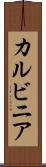 カルビニア Scroll