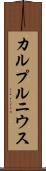カルプルニウス Scroll