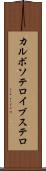 カルボソテロイブステロ Scroll