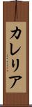 カレリア Scroll