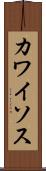 カワイソス Scroll
