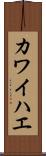 カワイハエ Scroll