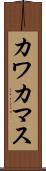 カワカマス Scroll
