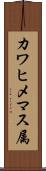 カワヒメマス属 Scroll