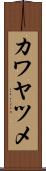 カワヤツメ Scroll