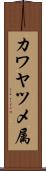 カワヤツメ属 Scroll