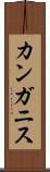 カンガニス Scroll