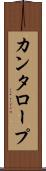 カンタロープ Scroll
