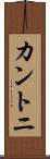 カントニ Scroll