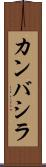 カンバシラ Scroll