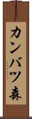 カンバツ森 Scroll