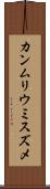 カンムリウミスズメ Scroll