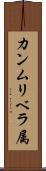 カンムリベラ属 Scroll