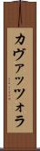 カヴァッツォラ Scroll