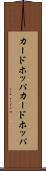 カードホッパ Scroll