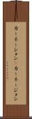カーネーション(P) Scroll