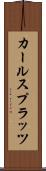 カールスプラッツ Scroll