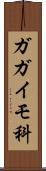 ガガイモ科 Scroll