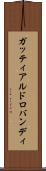 ガッティアルドロバンディ Scroll