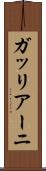 ガッリアーニ Scroll