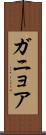ガニョア Scroll