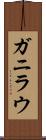 ガニラウ Scroll