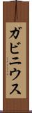ガビニウス Scroll