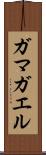 ガマガエル Scroll