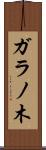 ガラノ木 Scroll