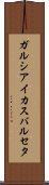 ガルシアイカスバルセタ Scroll